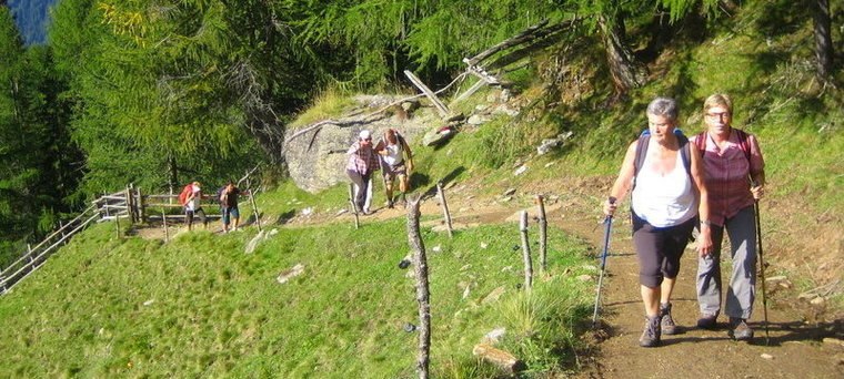 Einige Teilnehmer beim Wandern - vorne rechts im Bild Annemarie Innerhofer