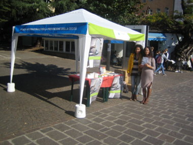 Infostand Talferbrücke