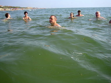 Lustiges Beisammensein im Meer