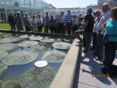 Die Gruppe bestaunt eine spezielle Wasserpflanze, die Euryale Ferox