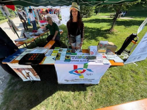 Sonniges Wetter, festliche Stimmung und informative Begegnungen