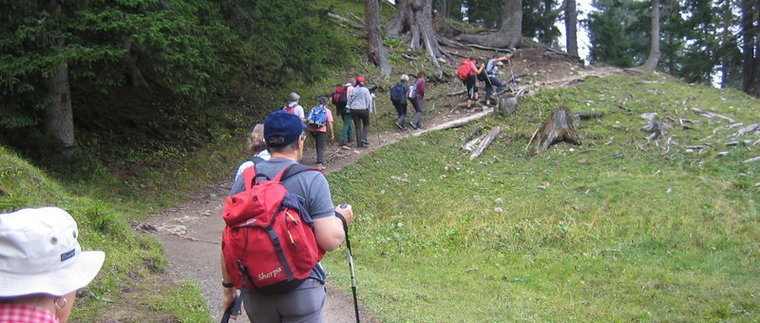 Jeweils zu zweit hat die Gruppe jeden auch noch so steilen Wanderweg bewältigt